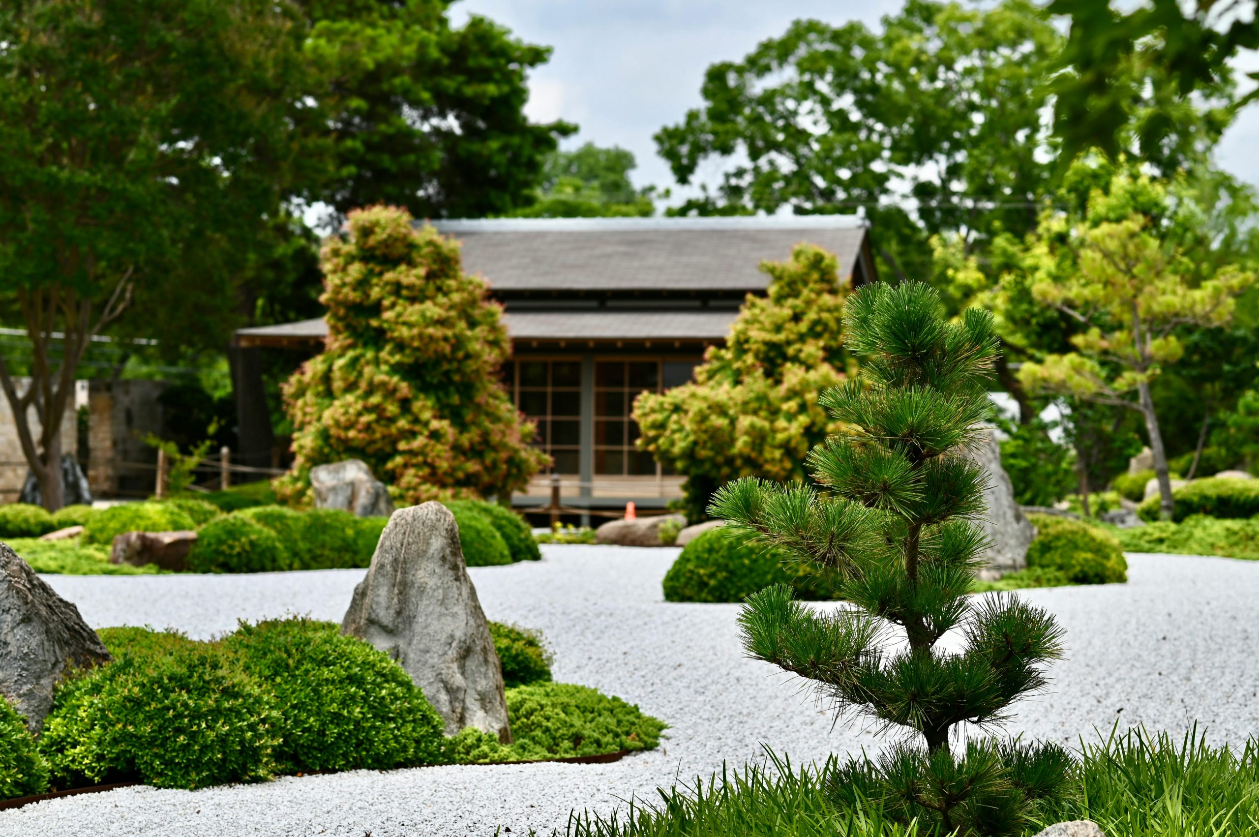 zen garden